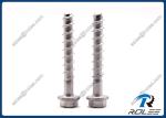 Rupert Plated 410 Stainless Steel Heavy Duty Self-tapping Concrete Screws