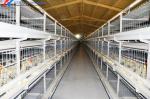 Hot Dip Galvanized Steel Poultry Farming Cage Automatic Meat Broiler Battery
