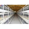 Buy cheap Hot Dip Galvanized Steel Poultry Farming Cage Automatic Meat Broiler Battery Cages from wholesalers