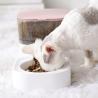 Buy cheap Automatic Cat Dog Water Dispenser For Water Drinking from wholesalers