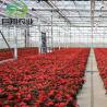 Buy cheap US 40/Piece Agriculture Greenhouse Construction Polycarbonate Sheet Covered for Tomatoes from wholesalers