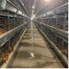 Buy cheap 4.8m Layer Chicken Cage from wholesalers