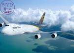 Buy cheap Safety International Air Cargo Shipping DHL Door To Door Delivery Logistics from wholesalers