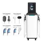 Cold Slimming Body Freezing Ems Muscle Stimulator Machine Cellulite Removal