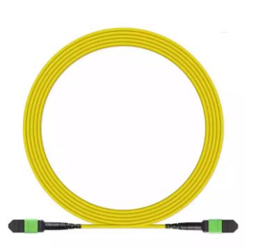 Buy cheap Factory Mtp-Mpo Fiber Optic Patch Cable Mpo Fiber Optic Patch Cord from wholesalers