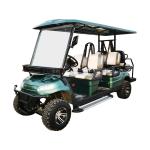 Customization 6 Person Golf Cart Electric Golf Buggy With 3.5kw-6kw Motor Power