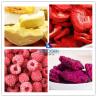 Buy cheap SUS304 Dish Vacuum Freeze Dryer For Vegetables And Fruits from wholesalers