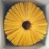 Buy cheap 120*550 Mm Polypropylene Road Cleaning Snow Street Sweeper Disc Brush from wholesalers