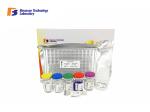 96 Wells High Sensitivity Human Corticotropin Releasing Hormone ELISA Kit
