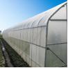 Buy cheap Width 8m 9m 10m Tunnel Plastic Greenhouse For Vegetables Growing from wholesalers