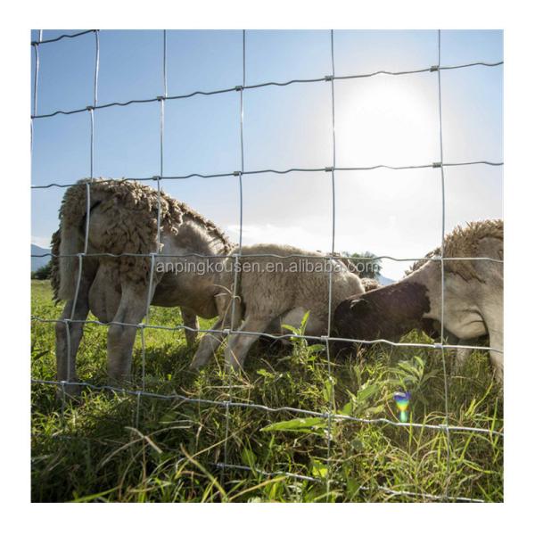 Buy cheap Agriculture Field Hot Dipped Galvanized Steel Wire Mesh Hinge Joint Fence for Cattle from wholesalers