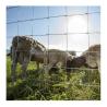 Buy cheap Agriculture Field Hot Dipped Galvanized Steel Wire Mesh Hinge Joint Fence for Cattle from wholesalers
