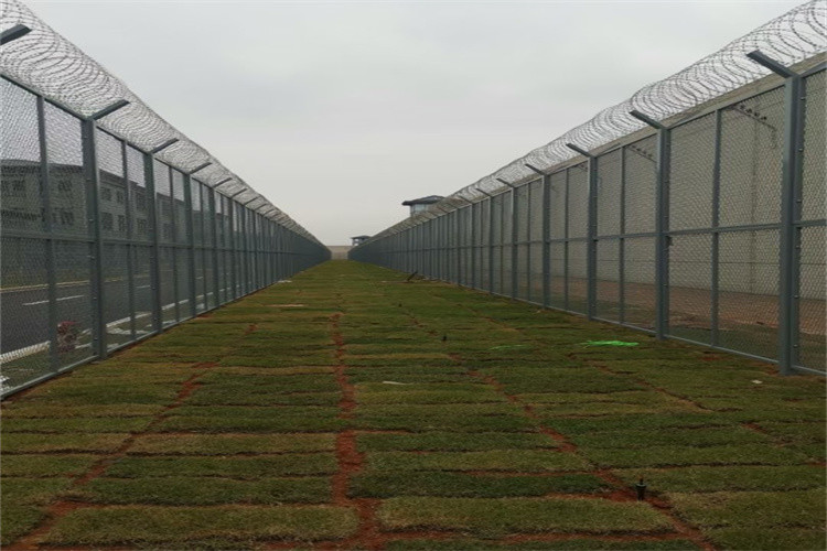 Welded Razor Wire Mesh Fencing Panels With Diamond Hole For African Market