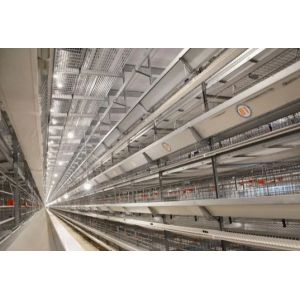 ISO Certified Prefab Poultry House Automatic Manure Removal Feeding System