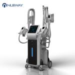 Weight Loss Double Cryotherapy Fat Freeze Pdt Cryoshape Fat Freezing Machine