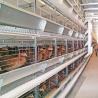 Buy cheap Laying Chicken Layer Egg Battery Cage System For Laying Hens from wholesalers