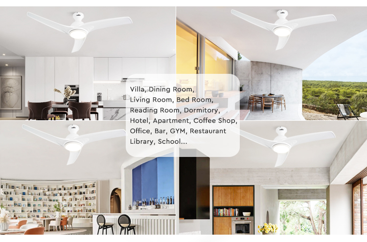 ceiling fan