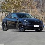 Tesla MODEL Y New Energy Vehicle Electric Medium SUV 217km/H