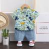 Buy cheap Cartoon Print Children'S Outfit Sets Short Sleeve Shirt Shorts Set from wholesalers