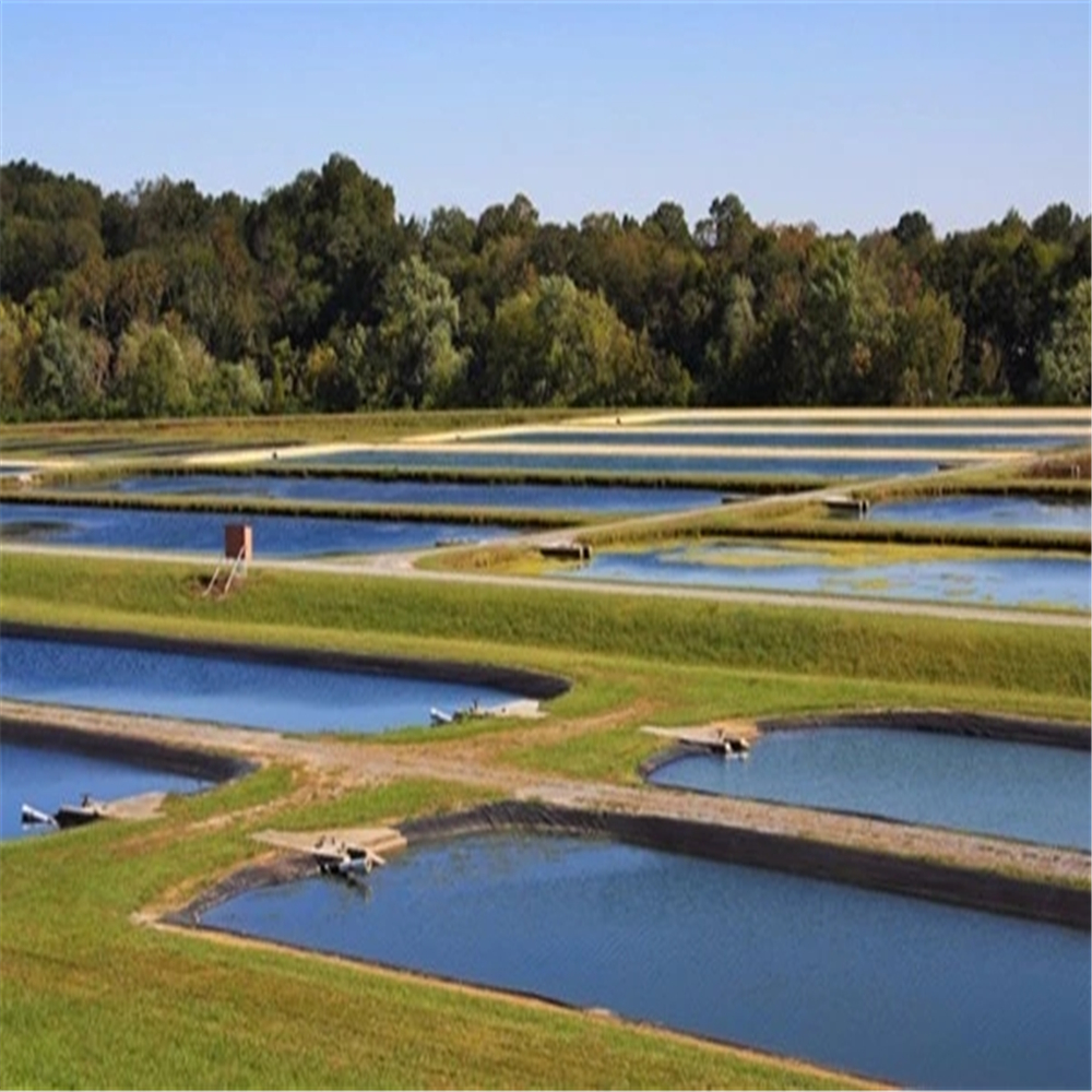 UV Resistant Impermeable Membrane Pond Liner for Aquaculture Applications