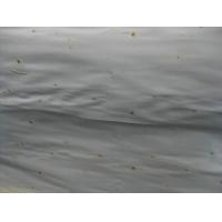 Buy cheap Rotary Cut/Peeled Poplar Wood Veneer Sheet product