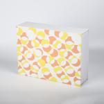 Rigid Magnetic Flap Gift Personalized Skin Care Box Debossing Cmyk Printed