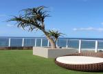 Soft Durable Outdoor Artificial Grass Lawns S Shaped 20mm - 45mm Pile Height