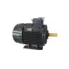 Buy cheap Cast Iron Asynchronous Inverter Motors Three Phase Inverter Duty from wholesalers
