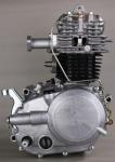 Bajaj100 Engine