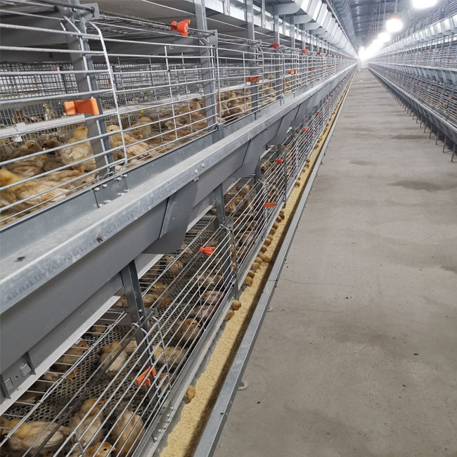 Hot Galvanized Wire Mesh Broiler Chicken Cage H Type