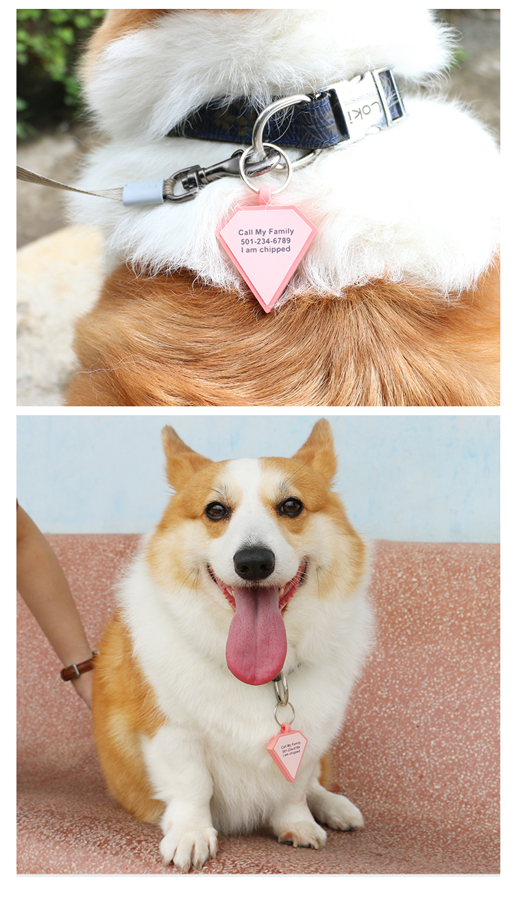 Wholesale low MOQ Cheap different shape many colors for options silicone blank dog tag name ID tag