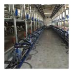 Working Vacuum 50KPa 2.2kw Herringbone Milking Machine For Dairy Farm