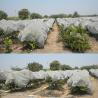 Buy cheap 3.2m Agricultural Mulch Film from wholesalers