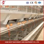 Large Capacity Galvanized Steel Cage System For Poultry Farm Mia