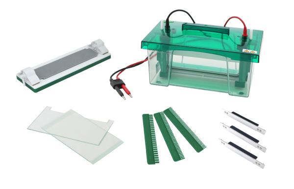 Buy cheap 186×95mm Gel Size Polyacrylamide Gel Electrophoresis Apparatus Jy-cz-b from wholesalers