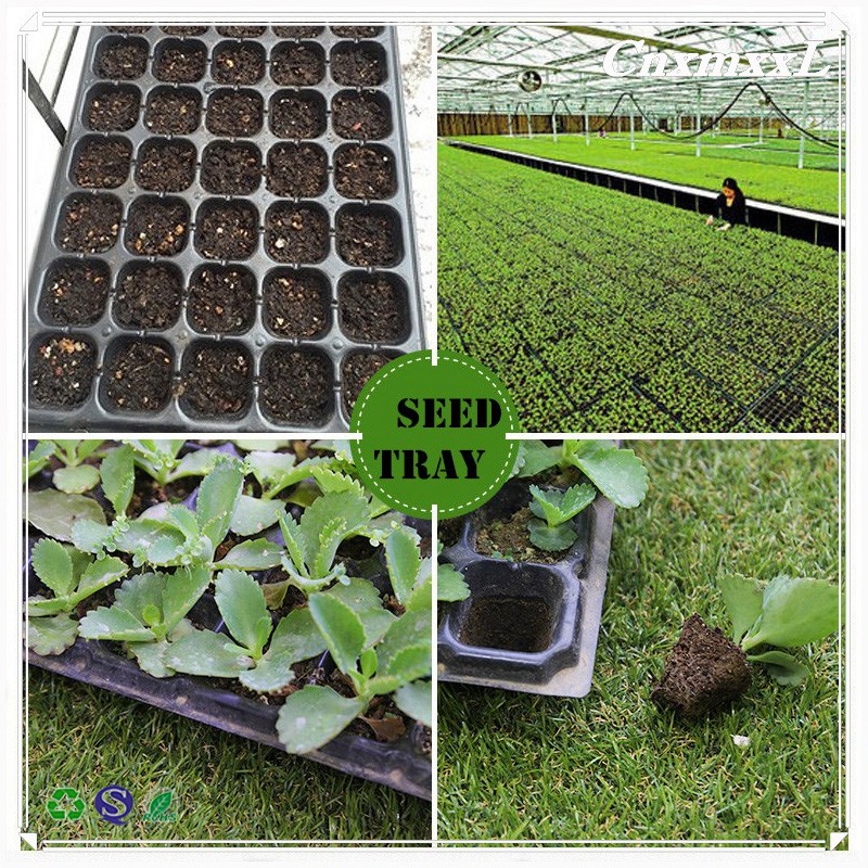 many kinds of holes plastic Plant Growing Trays plastic growing trays for you to use practicaly