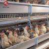 Buy cheap Q235 Steel Mire Battery Chicken Layer Cage Two Mainstream Farming Equipment from wholesalers