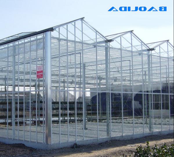 Buy cheap Polycarbonate Hollow Board Glass Industrial Outdoor Multispan Glass Professional Dutch Greenhouse For Flower Planting from wholesalers