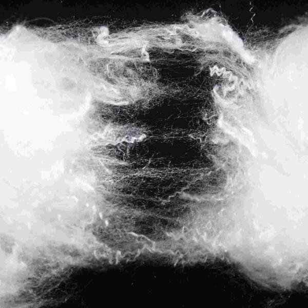 Quality SD Luster Synthetic Textile Fiber The Perfect Solution for Textile Manufacturers for sale