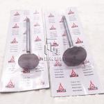 Inlet And Exhaust Valve 04509353 04509354 0450 9353 0450 9354 4509353 4509354