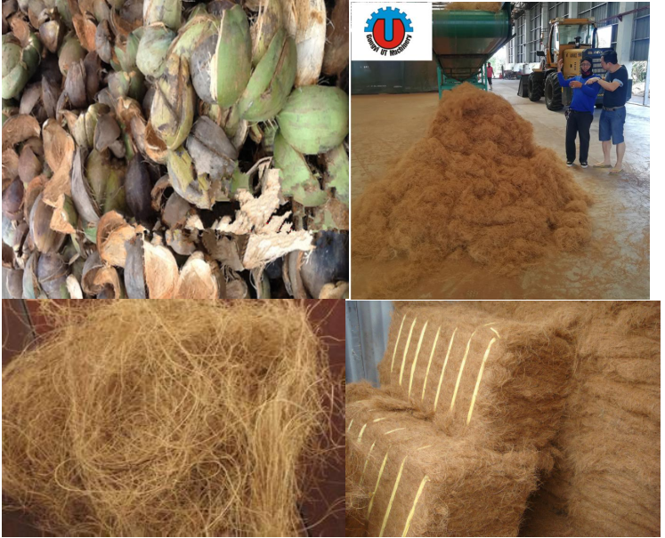 Coconut Defibering Machine for Coir Fiber Extraction Fiber Length More than 20cm