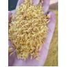 Buy cheap 380V 50HZ 3PHASE Double Screw Fortified Rice Extruder 1500kg from wholesalers
