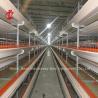 Buy cheap A/H Type Pullet Chicken Cage Baby Chicks Brooding Cage Mia from wholesalers