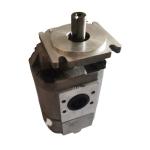 Guarantee Excavator Hydraulic Gear Pump CBKP32/40/50/63/80/100 For Heavy Duty