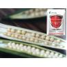 Buy cheap Crop Pests Biological Insecticides Bacillus Thuringiensis For Caterpillars from wholesalers