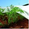 Buy cheap Durable Frost Protection Fleece Mothproof , Agriculture Winter Row Cover from wholesalers