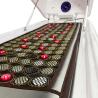 Buy cheap Touchscreen Pemf Therapy Sauna Hydro Massage Capsule With Infrared Mat from wholesalers