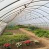 Buy cheap Revolutionize Your Vegetable Production with Drip Irrigation Tunnel Greenhouse from wholesalers