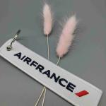 Buy cheap AIRFRANCE Cotton Custom Embroidered Keychain Reversible Mirror Finish Custom from wholesalers