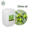 Buy cheap Green Olive Organic Carrier Oils from wholesalers